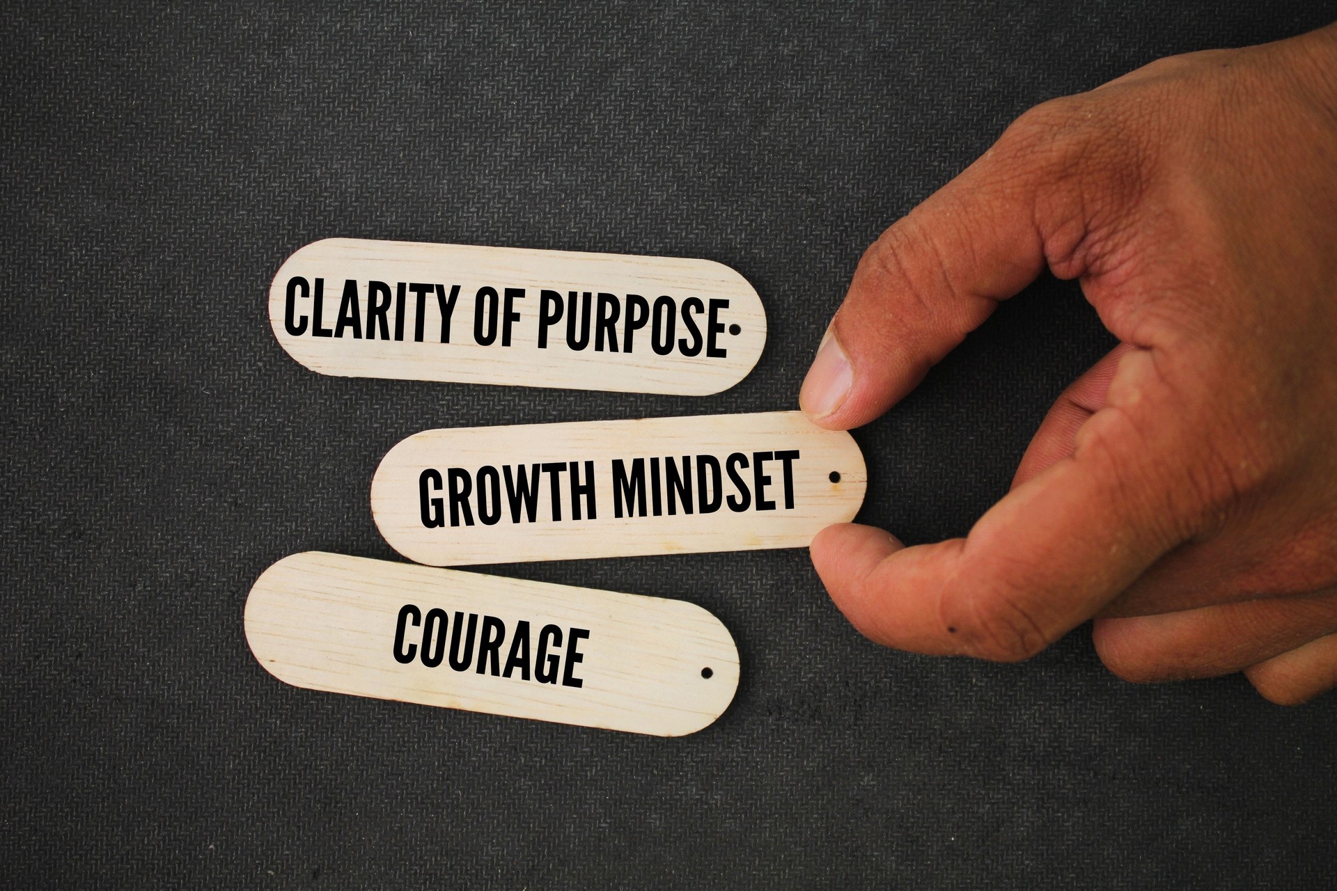 What are the 3 principles of success? They are - Clarity of Purpose, Growth Mindset, and Courage.